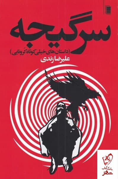 کتاب سر گیجه اثر علیرضا زندی از انتشارات روشنگران
