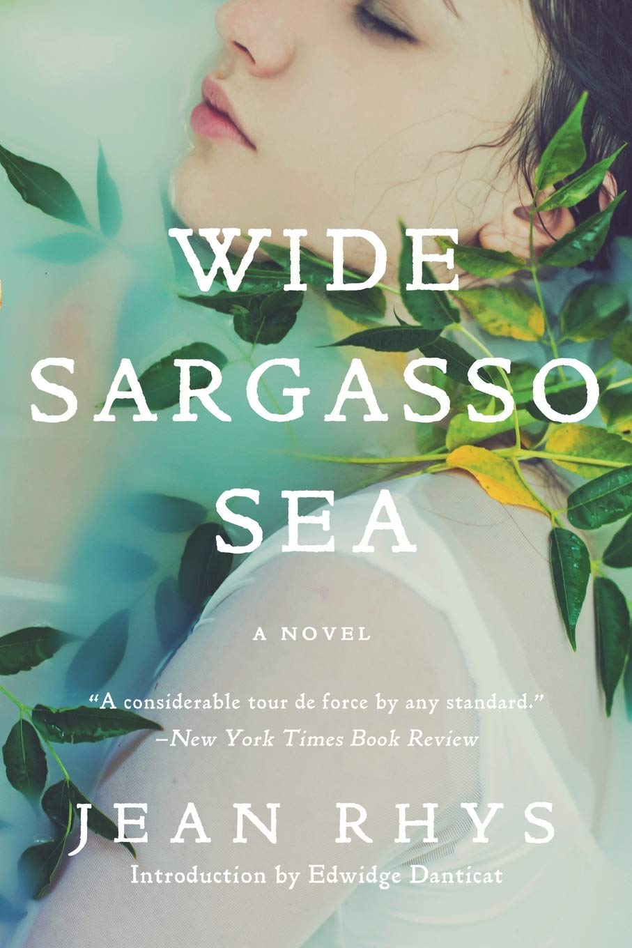 معرفی و دانلود Wide Sargasso Sea | دریای پهناور ساراگوسا | Jean Rhys