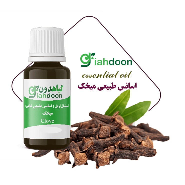 اسنشیال اویل میخک | اسانس طبیعی میخک