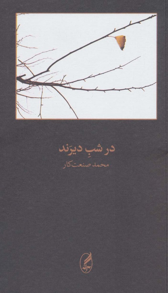 در شب دیرند