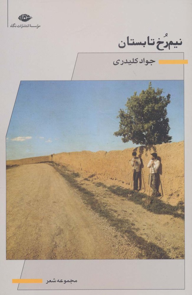 کتاب نیم رخ تابستان | انتشارات نگاه