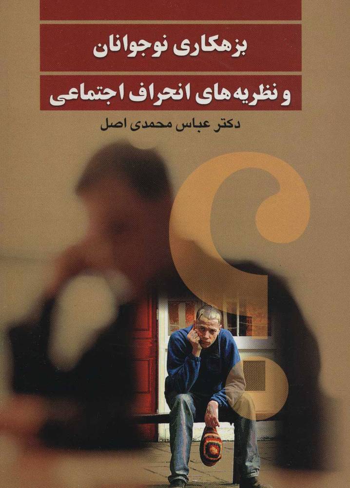 کتاب بزهکاری نوجوانان