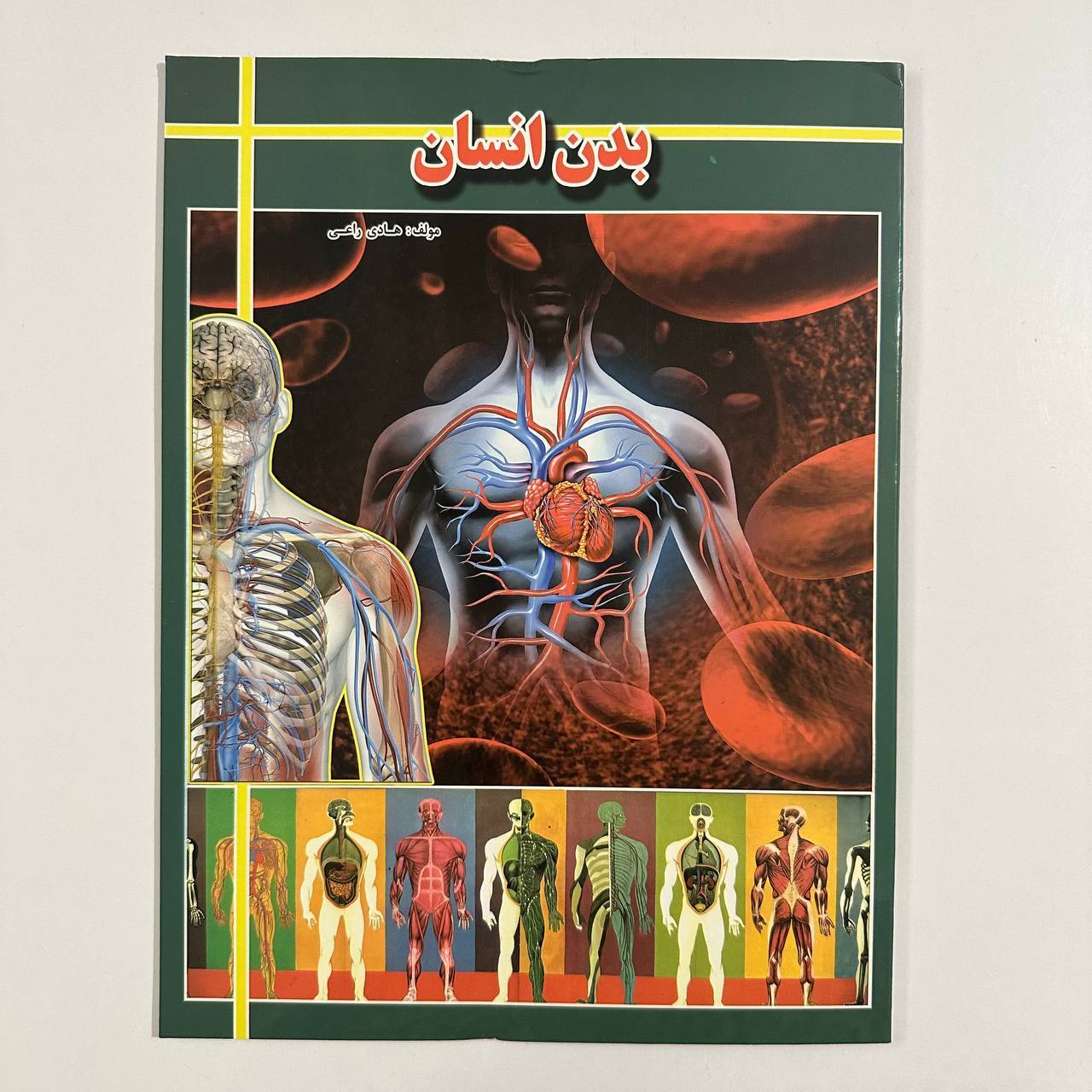 بدن انسان