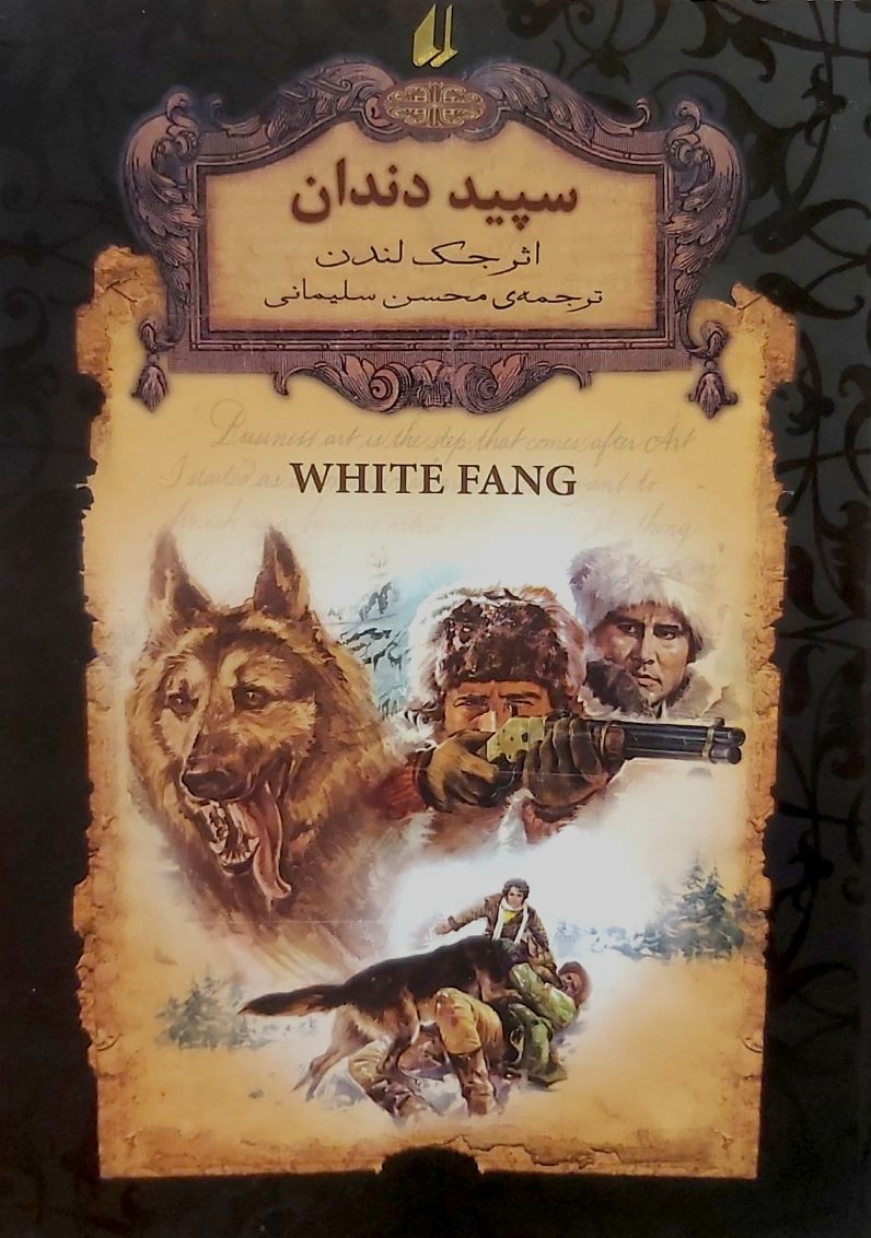 سپید دندان (گالینگور)