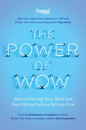 دانلود کتاب The Power of WOW – قدرت WOW