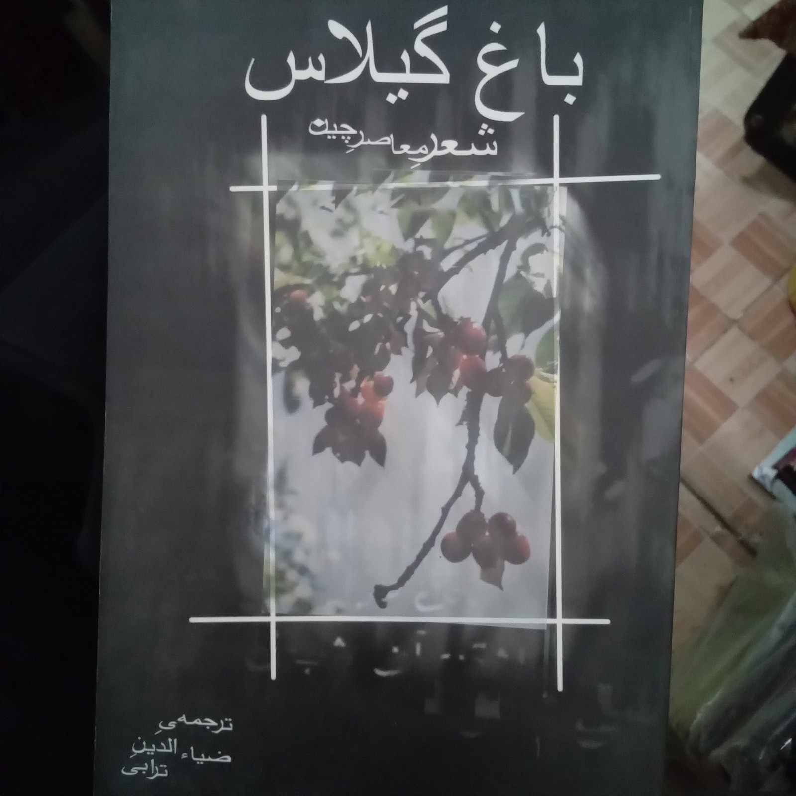 کتاب باغ گیلاس شعر معاصر چین