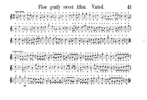 دانلود نسخه کامل کتاب Flutina and accordion teacher (part 3)