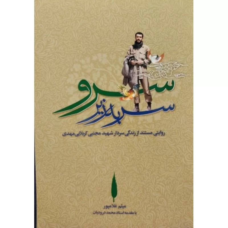 کتاب سرو سر به زیر - نشر مرد نو
