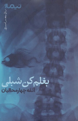 بغلم کن شبلی (پازل شعر امروز)،(شمیز،رقعی،نیماژ)