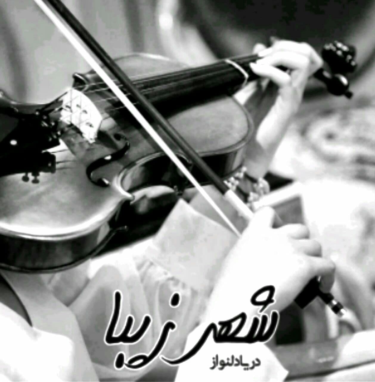 رمان شهر زیبا pdf