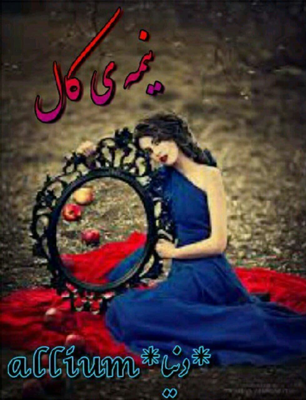 رمان نیمه کال pdf