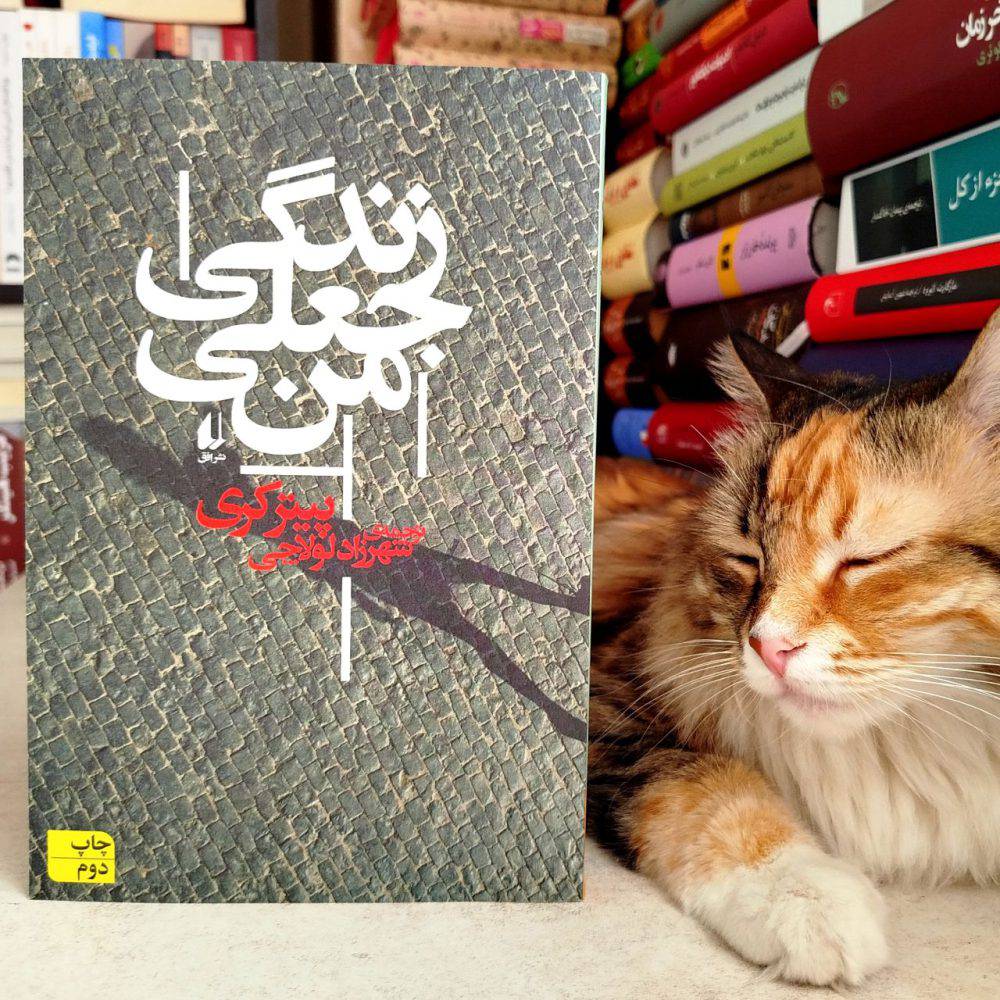 زندگی جعلی من ، پیتر کری