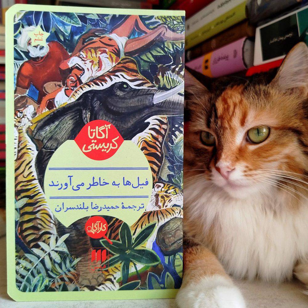 فیل ها به خاطر می آورند ، آگاتا کریستی