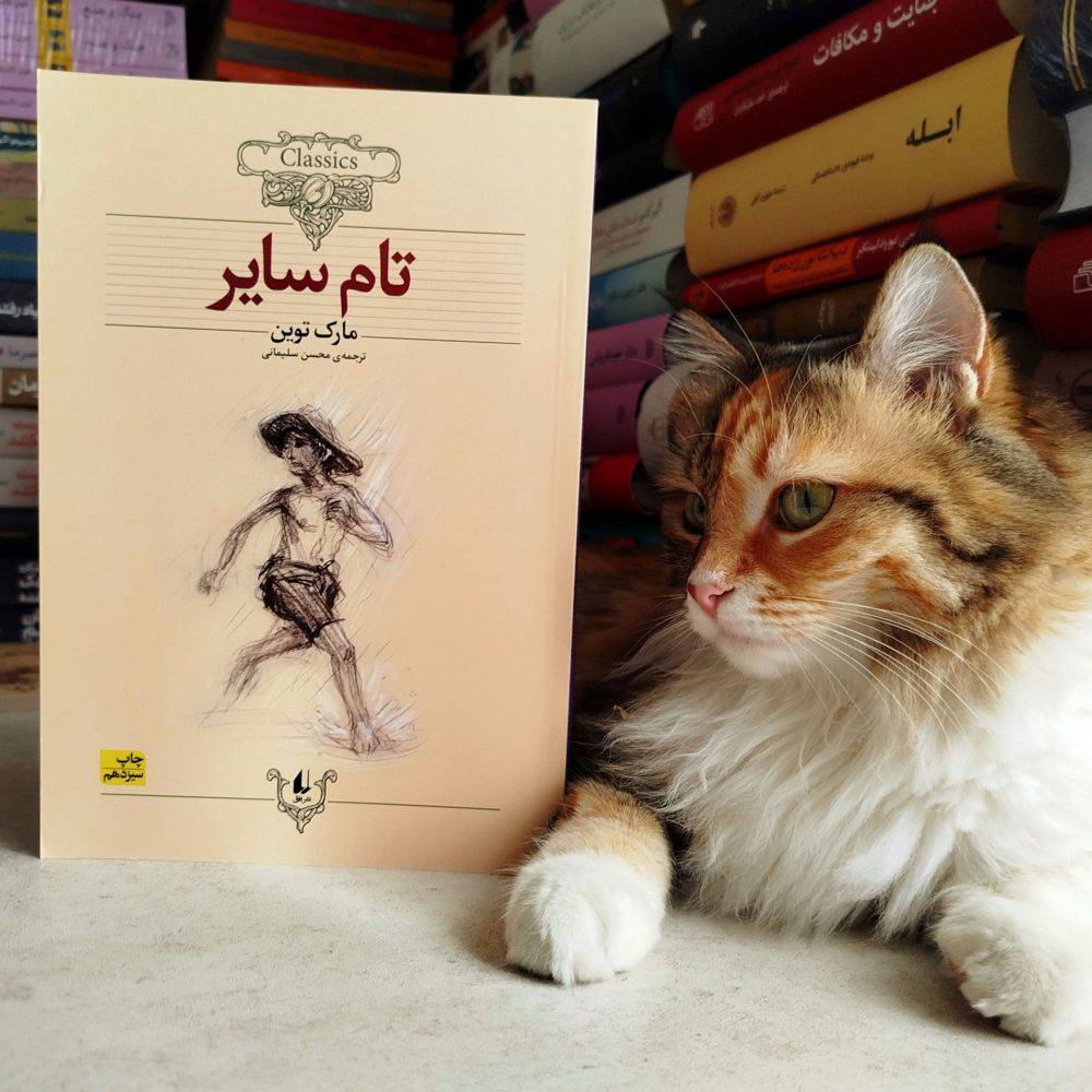 تام سایر ، مارک تواین ( رمان نوجوان )