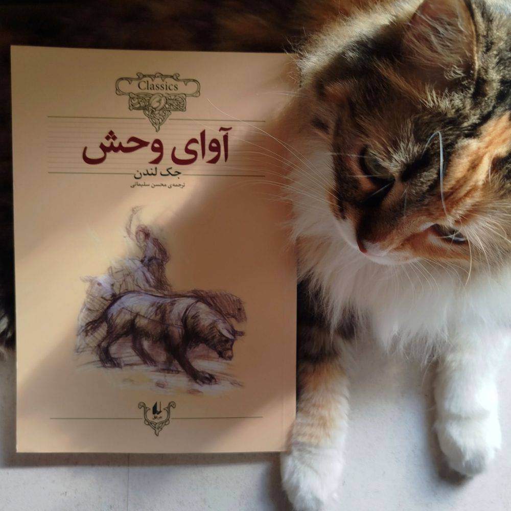 آوای وحش ، جک لندن (رمان‌ نوجوان)