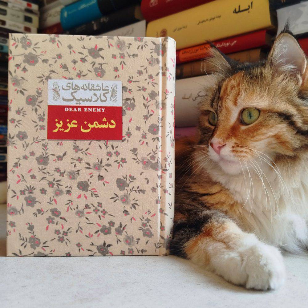 دشمن عزیز (عاشقانه های کلاسیک)