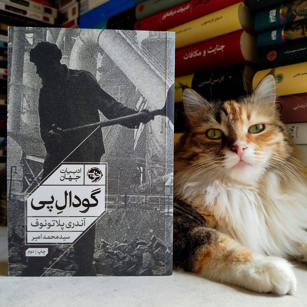 گودال پی ، آندری پلاتونوف