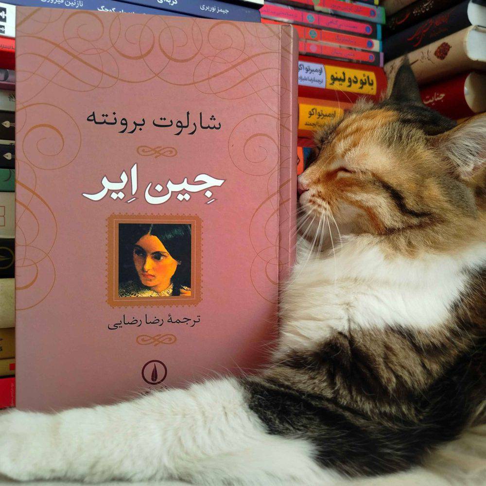 جین ایر ، شارلوت برونته (جلد سخت)