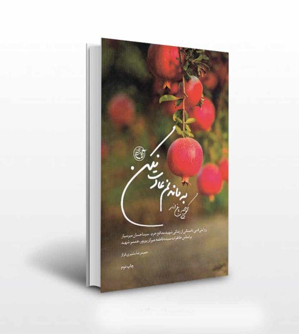 کتاب کوچه باغ انار به ماندنم عادت نکن