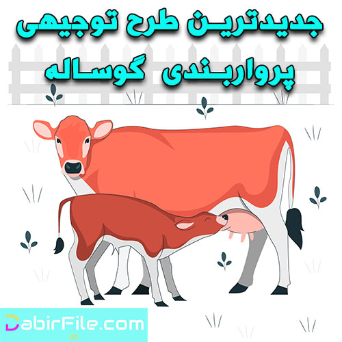 طرح توجیهی پرواربندی گوساله