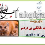 دانلود پاورپوینت حیوانات خانگی بی دردسر
