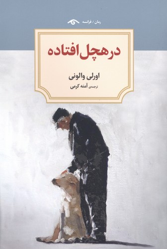 در هچل افتاده (شمیز،رقعی،دیدآور)