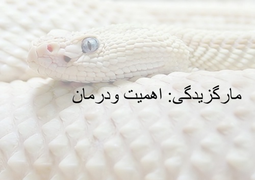 پاورپوینت مارگزیدگی اهمیت و درمان - اسمارت فایل