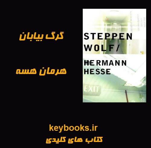 تحلیل رمان گرگ بیابان اثر هرمان هسه - اسمارت فایل