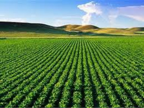 تحقیق درباره طرح دستگاه ضد سرمازدگی باغات - اسمارت فایل