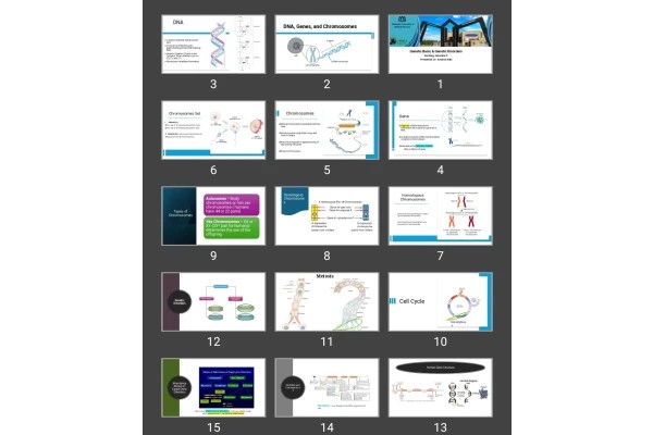 پاورپوینت Genetic Basic &amp; Genetic Disorders