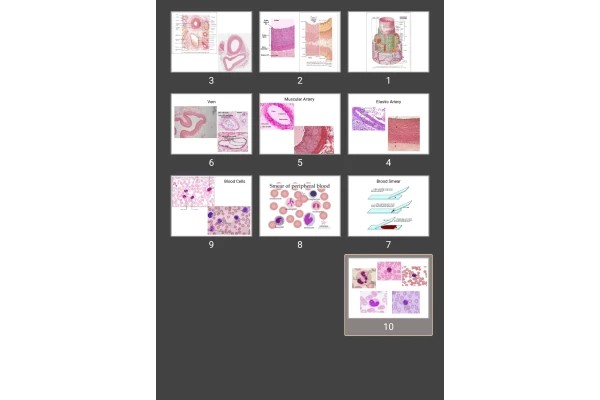 پاورپوینت blood &amp; circulatory sys