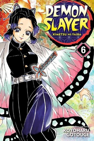Comic manga) Demon Slayer 6)