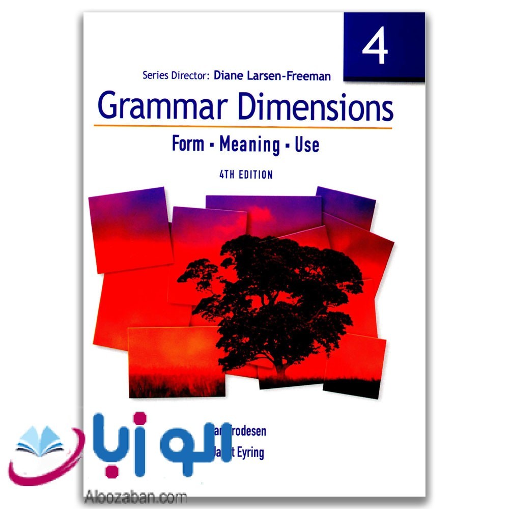 Grammar Dimensions 4 Form Meaning Use 4th