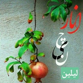 رمان انارچین | دانلود | کتاب خوان