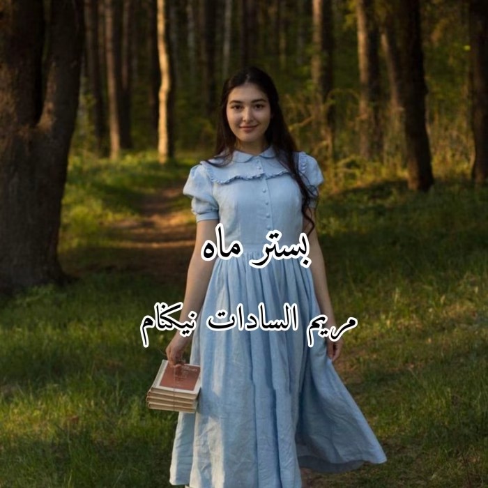 رمان بستر ماه اثر مریم بانو | دانلود | کتاب خوان