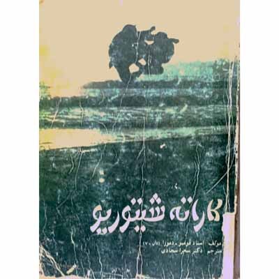 کاراته شیتوریو