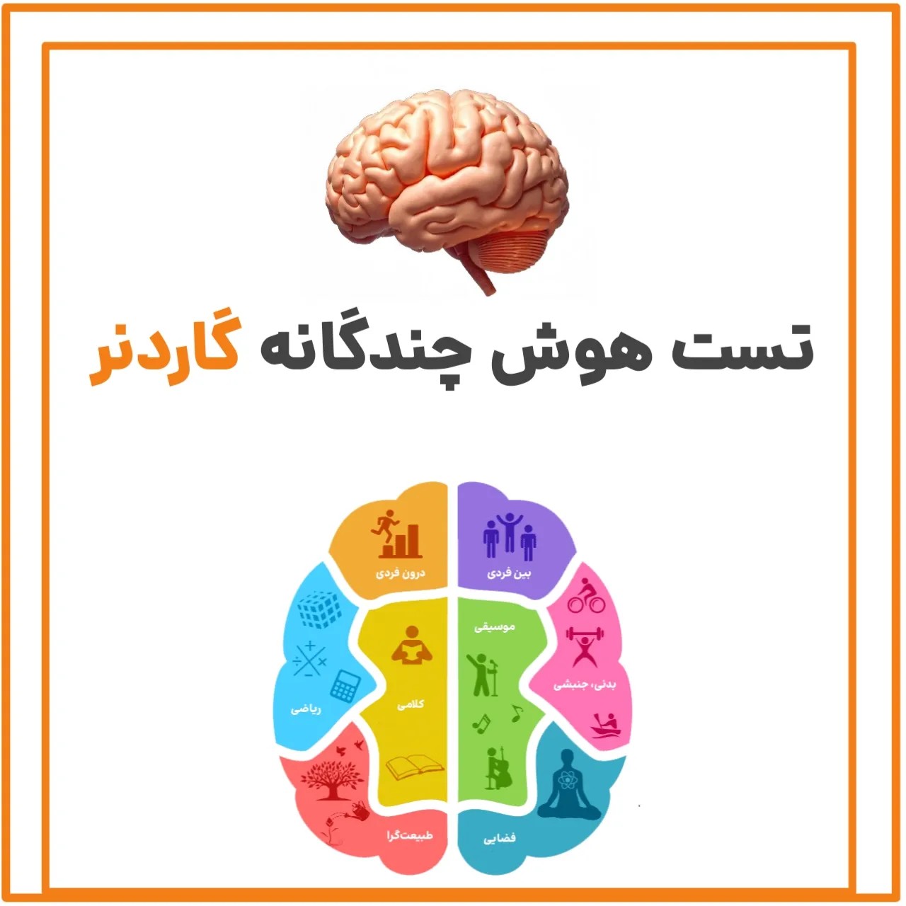 تست هوش چندگانه گاردنر🧠تست هوش گاردنر