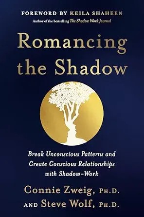 دانلود نسخه کامل کتاب زبان اصلی Romancing the Shadow: Break Unconscious Patterns and Create Conscious Relationships with Shadow-Work PDF