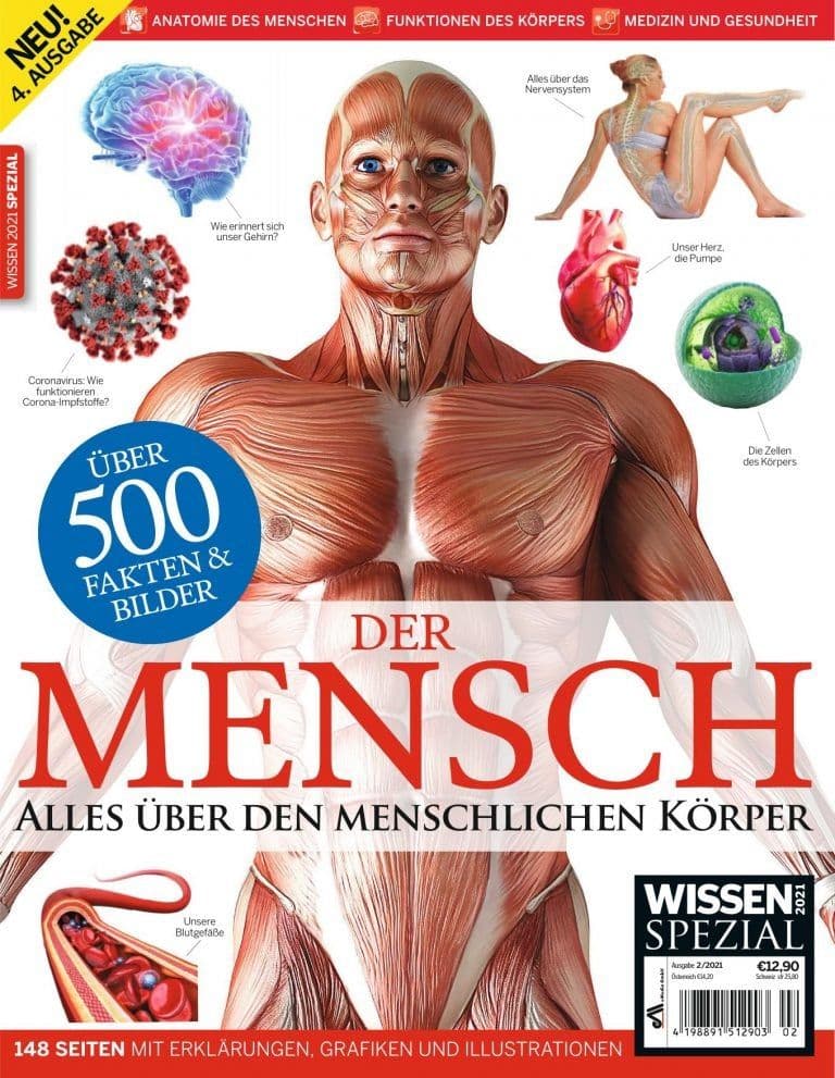 Der Mensch Alles über den menschlichen Körper