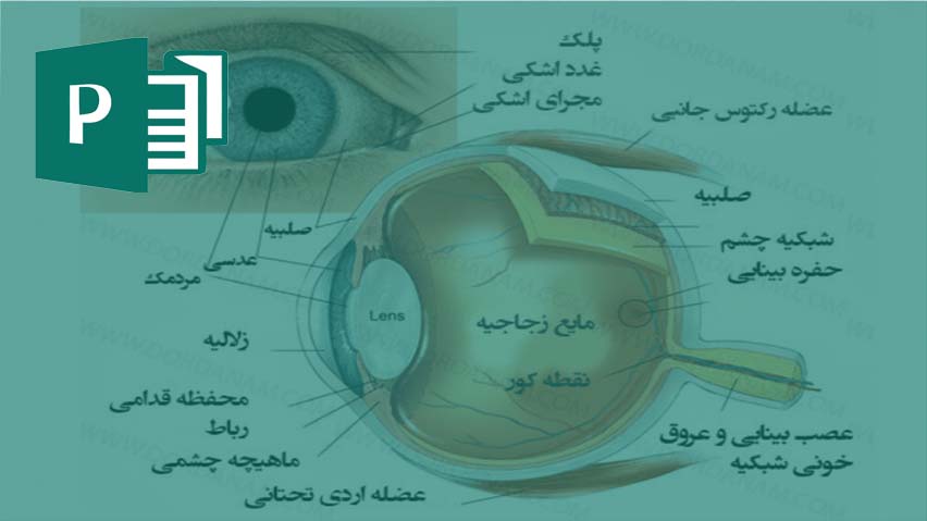 دانلود بروشور چشم و ساختمان چشم