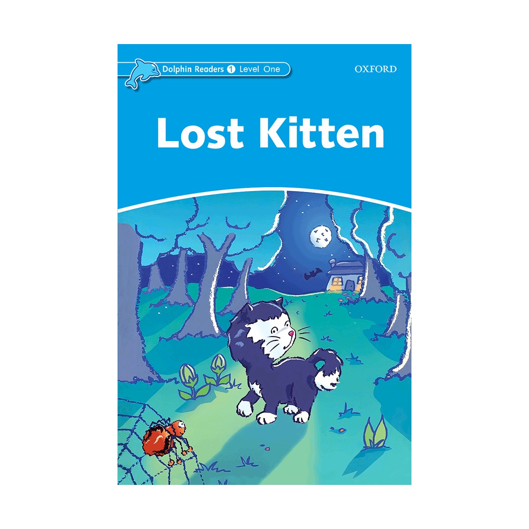 Lost Kitten