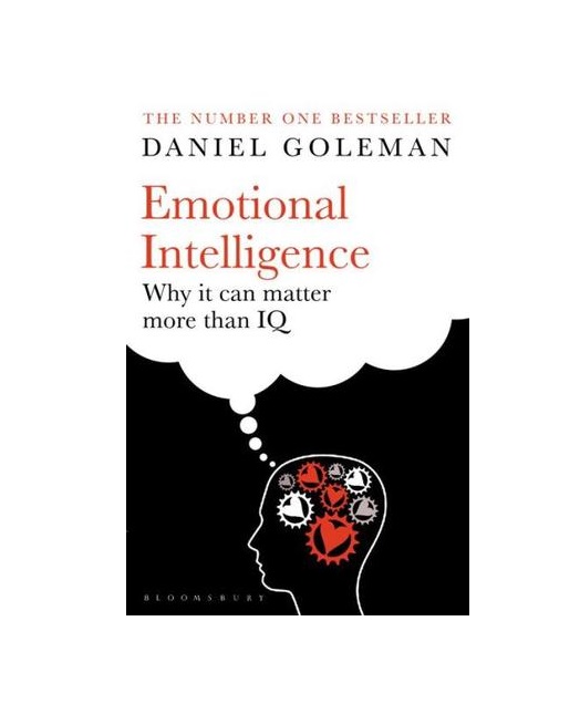 Emotional Intelligence Why It Can Matter More Than IQ