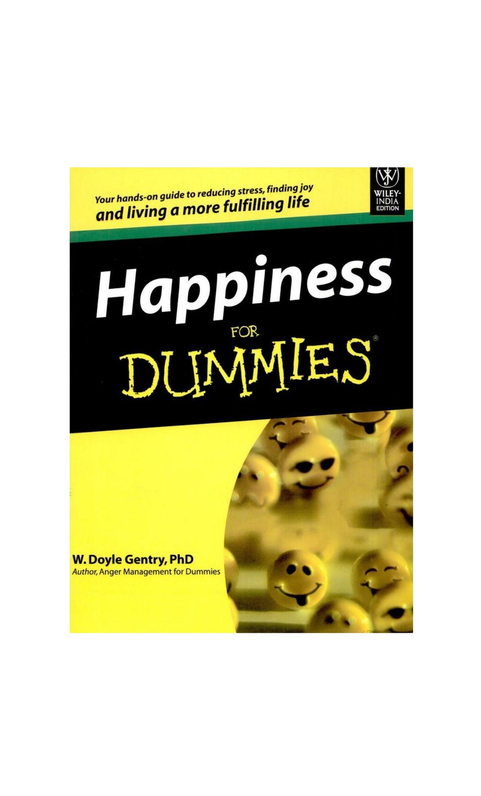 Happiness For Dummies خرید کتاب زبان