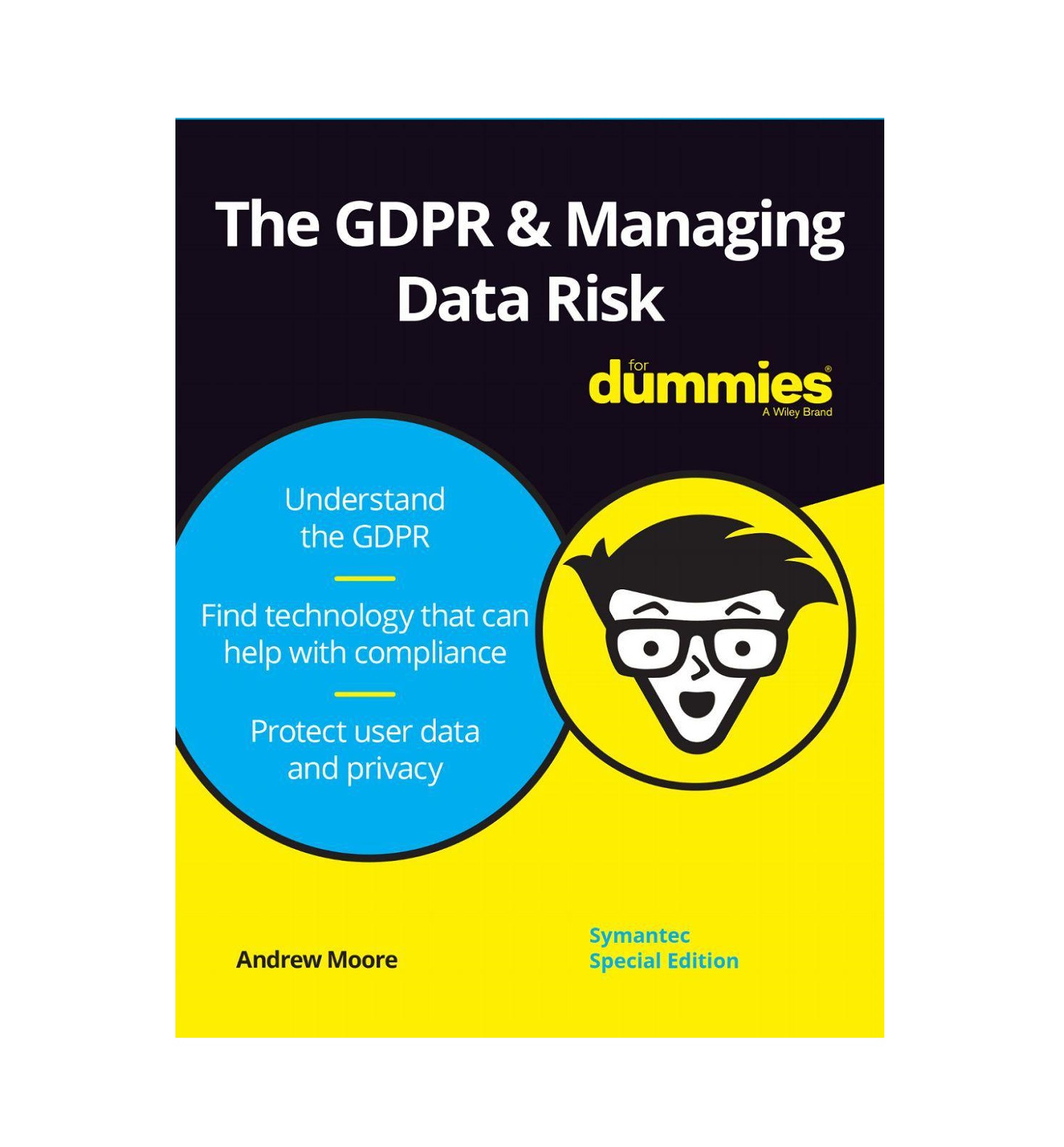 The GDPR Managing Data Risk For Dummies خرید کتاب زبان
