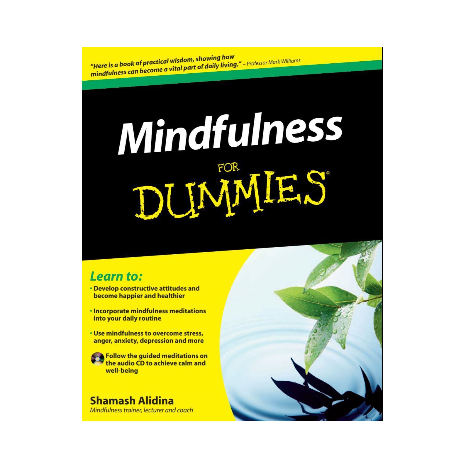 Mindfulness For Dummies خرید کتاب زبان