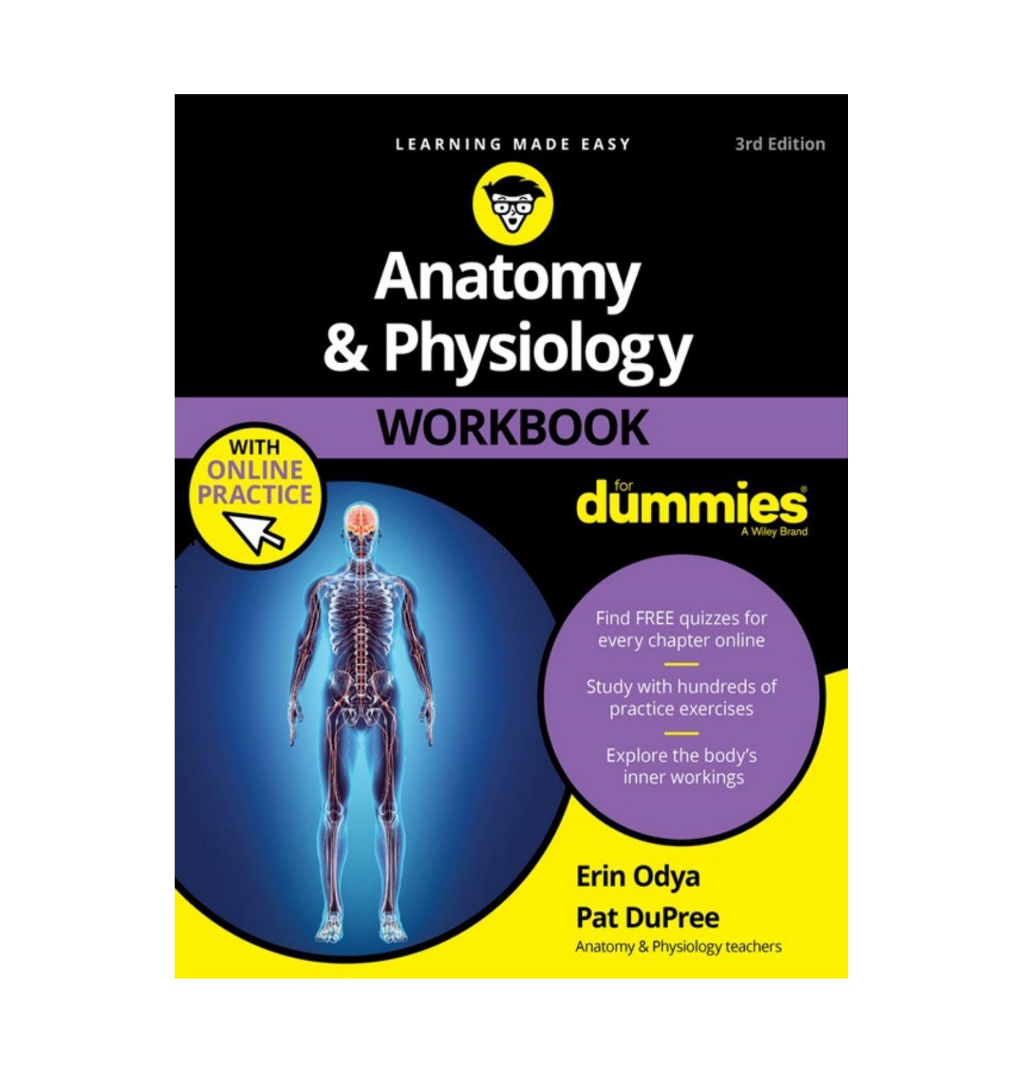 Anatomy Physiology For Dummies خرید کتاب زبان
