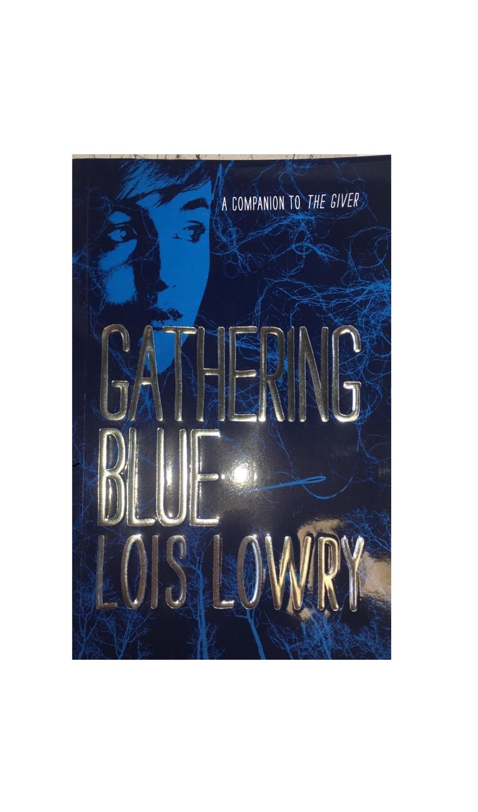 Gathering Blue (Full Text) Lois Lowry خرید کتاب زبان