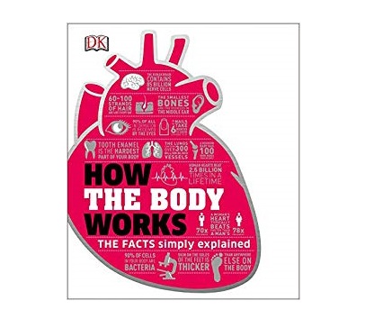 How the Body Works The Facts Simply Explained خرید کتاب زبان