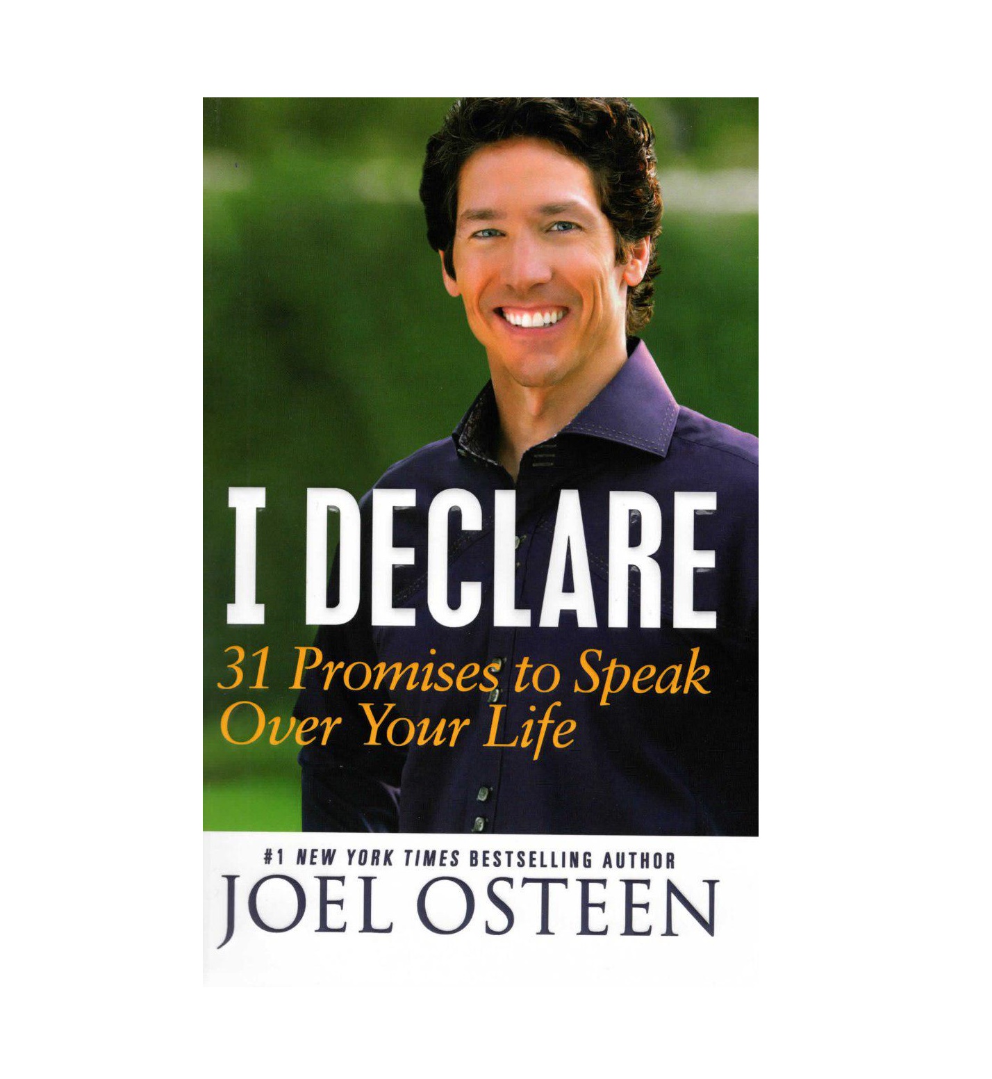 I Declare 31 Promises To Speak Over Your Life Self Help Joel Osteen K
