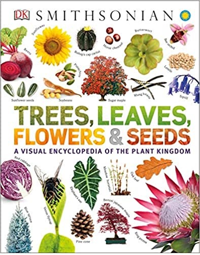 Trees Leaves Flowers and Seeds دیکشنری تصویری رنگی